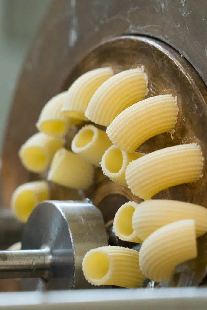 Pasta fresca, appena prodotta, esce da una macchina.